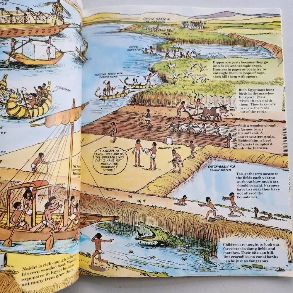 Time Traveller Book of Pharaohs and Pyramids Paperback Book History Comic Book